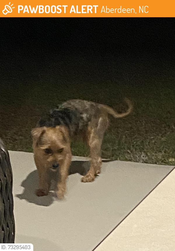 Found/Stray Male Dog last seen Pee dee rd housing area, Aberdeen, NC 28315