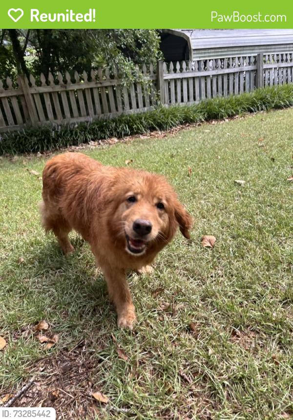 Reunited Unknown Dog last seen Found dog between Lynn ave & queens, Sanford, NC 27330