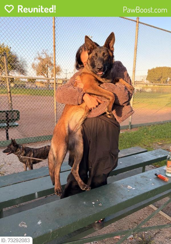 Reunited Female Dog last seen Near W 126th St, Los Angeles, CA 90047, USA, Los Angeles, CA 90047