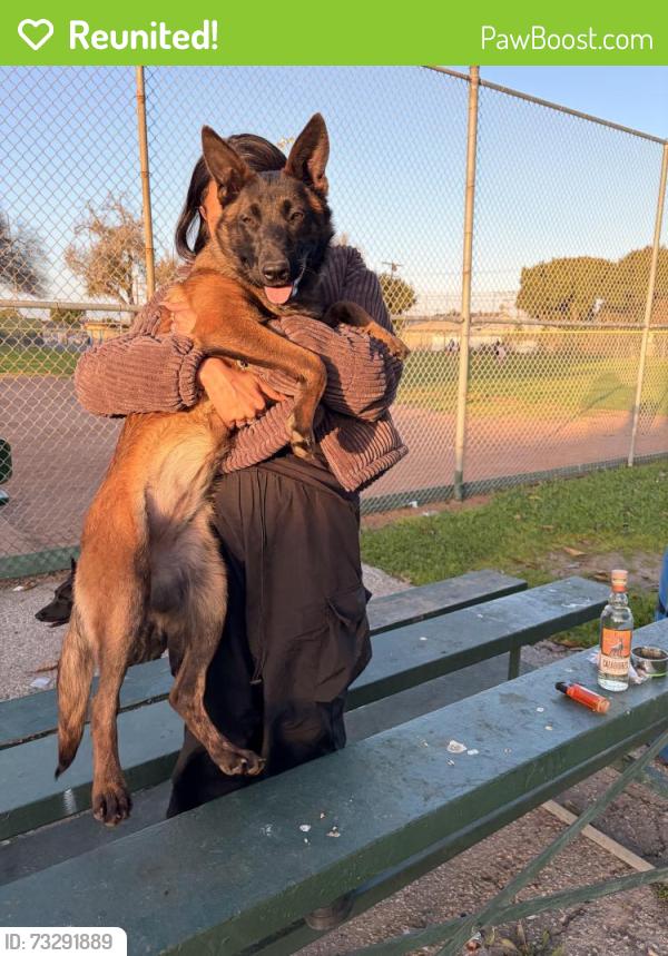 Reunited Female Dog last seen Near W 126th St Los Angeles, CA 90047 United States, Los Angeles, CA 90047