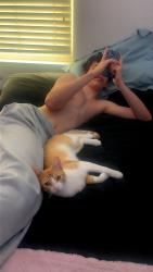 Reunited Male Cat last seen Palm Crest dr., Highland, CA 92346