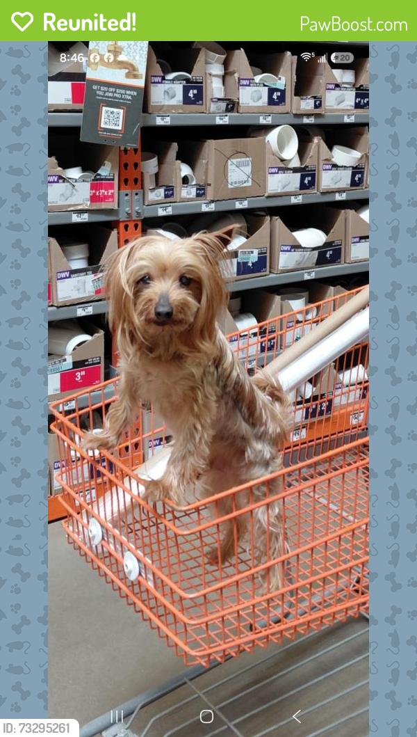 Reunited Male Dog last seen MADISON STREET,WILKES BARRE, Wilkes-Barre, PA 18705