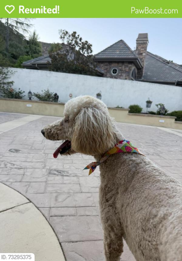 Reunited Female Dog last seen Bear creek south, Murrieta, CA 92562