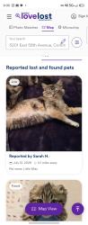 Lost Female Cat last seen Near kearney st, Commerce City, CO 80022