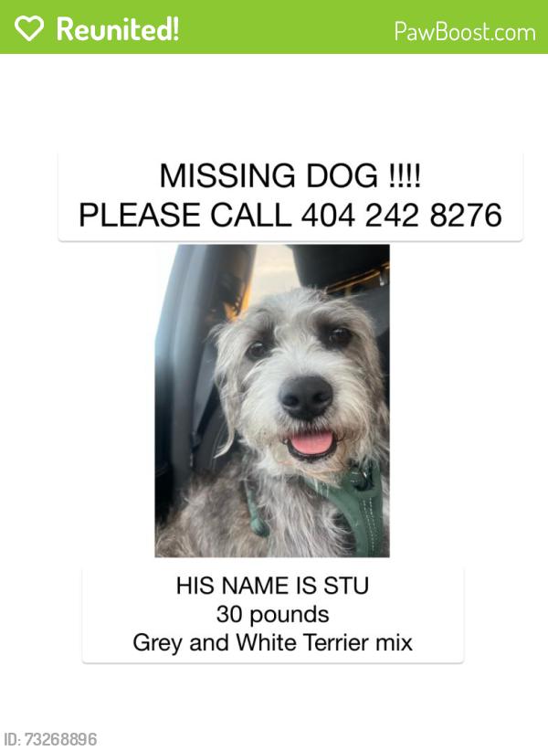 Reunited Male Dog last seen Pacific and rose, Los Angeles, CA 90291