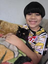 Reunited Male Cat last seen Palo alto rd and guillete, San Antonio, TX 78224
