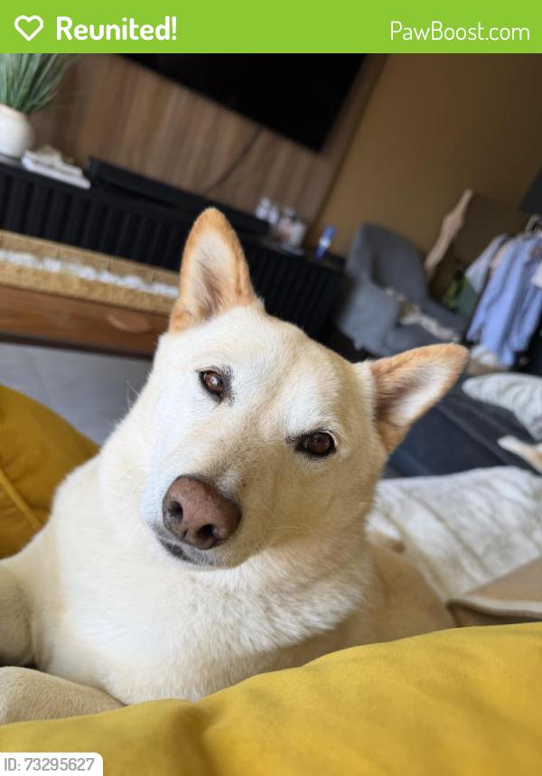 Reunited Male Dog last seen Parkside Drive or Terra Nova Drive, Chula Vista, CA 91910