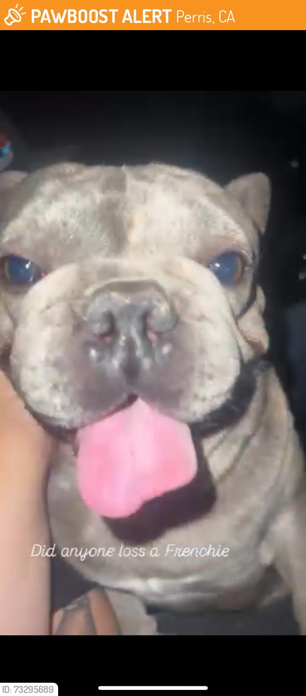 Found/Stray Male Dog last seen English Oak Way, Perris, CA 92571