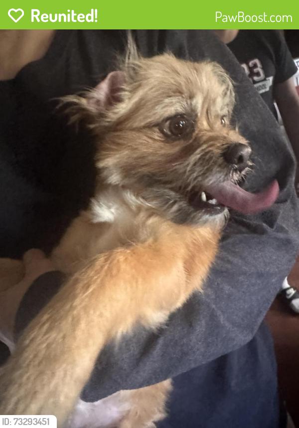 Reunited Male Dog last seen Perry Rd, Houston, TX 77064