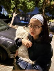 Reunited Male Cat last seen Near Linden Street, San Francisco, CA 94102