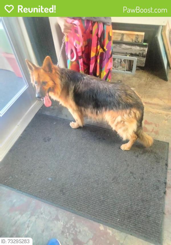 Reunited Female Dog last seen Riverside Dr, Riverside Plaza, Riverside, CA 92506