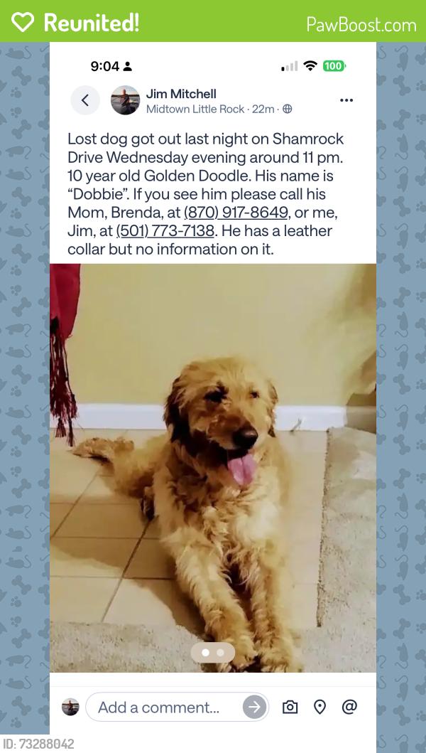Reunited Male Dog last seen Shamrock Dr west of Hughes, Little Rock, AR 72205