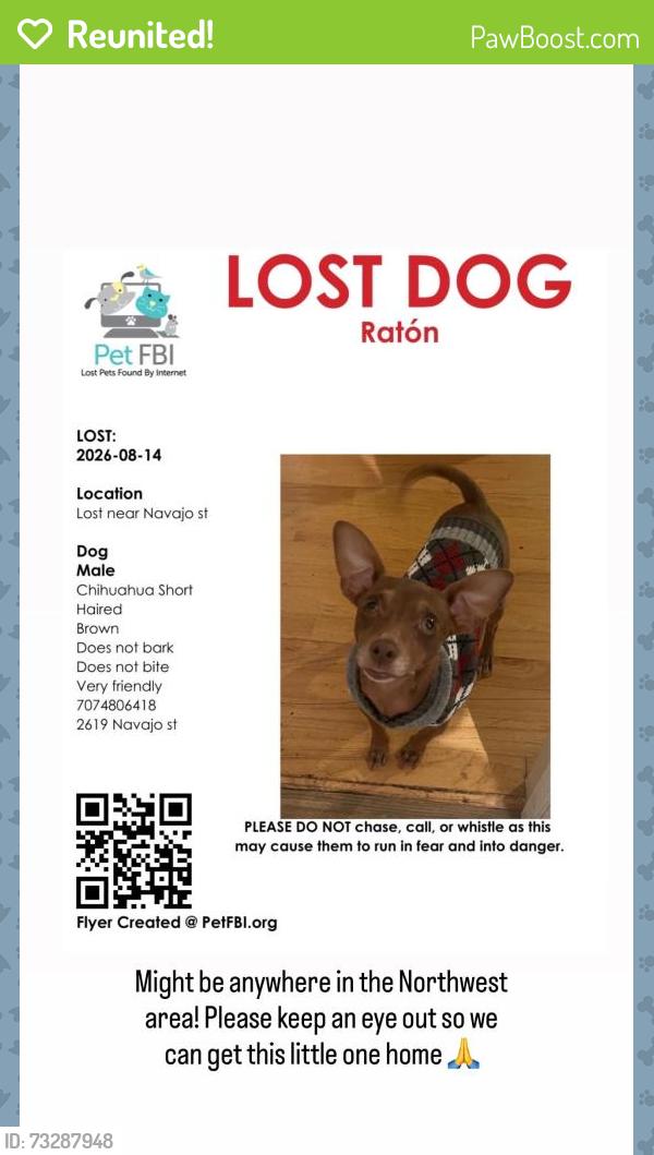Reunited Male Dog last seen Northwest Park, Santa Rosa, CA 95403