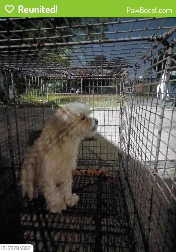 Reunited Male Dog last seen Federal Road & I-10, Houston, TX 77015