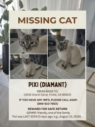 Lost Female Cat last seen Cypress, Irvine, CA 92618