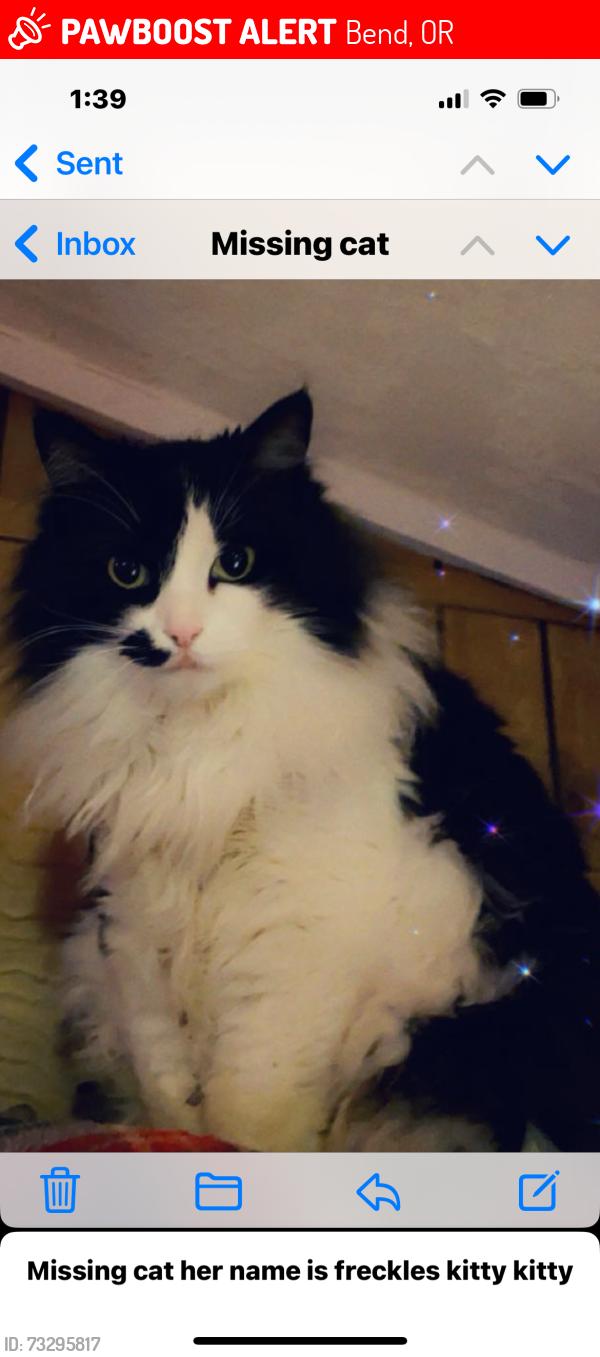 Lost Female Cat last seen Ponderosa, Bend, OR 97702