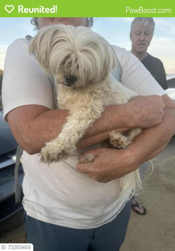 Reunited Female Dog last seen Seascape resort, Rio del Mar, CA 95003