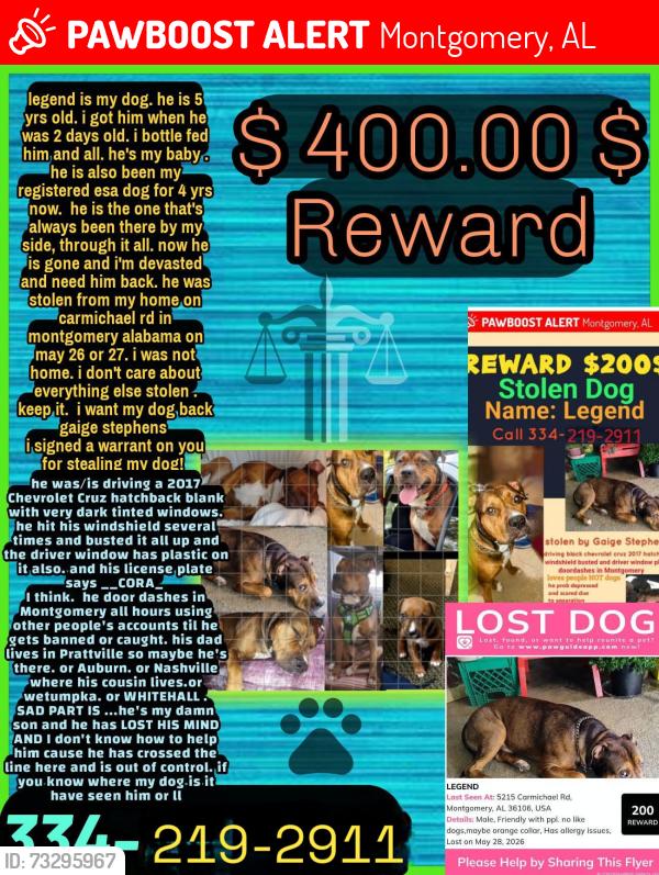 Lost Male Dog last seen Carmichael rd, Montgomery, AL 36104