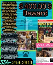 Lost Male Dog last seen Carmichael rd, Montgomery, AL 36104