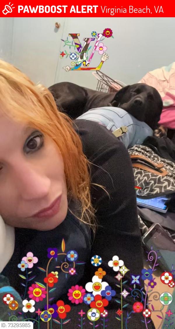 Lost Male Dog last seen Spca, Virginia Beach, VA 23451