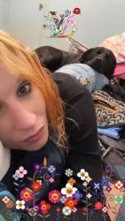 Lost Male Dog last seen Spca, Virginia Beach, VA 23451