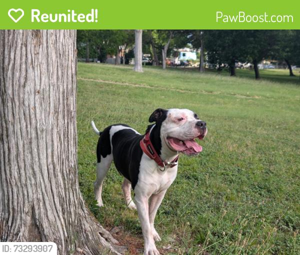 Reunited Male Dog last seen Guthrie & Orial, Dallas, TX 75224