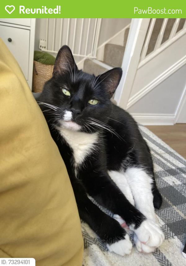 Reunited Male Cat last seen Le2 9GL, Leicester, England LE2 9GL