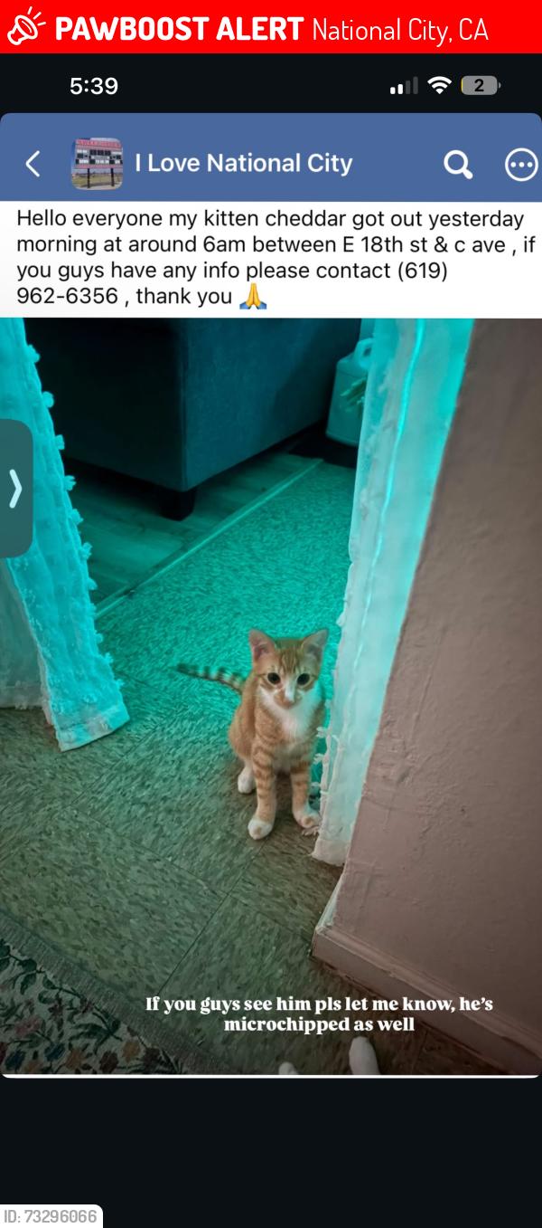 Lost Male Cat last seen E 18th st $, National City, CA 91950