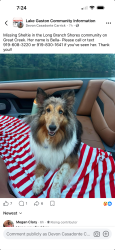 Lost Female Dog last seen Near long Branch Dr la crosse, La Crosse, VA 23950