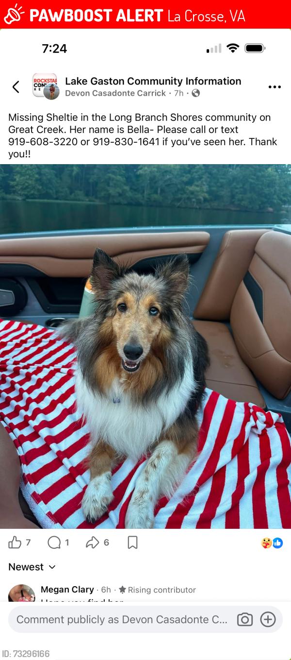 Lost Female Dog last seen Near long Branch Dr la crosse, La Crosse, VA 23950