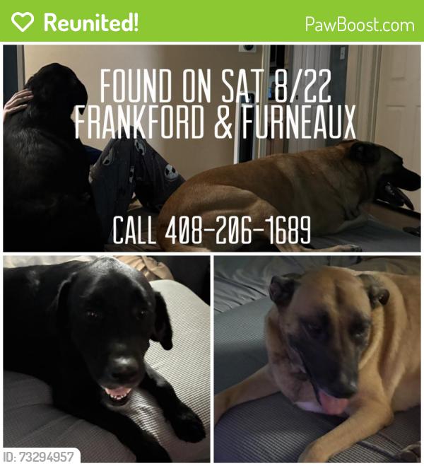 Reunited Female Dog last seen Frankford & Furneaux, Carrollton, TX 75007