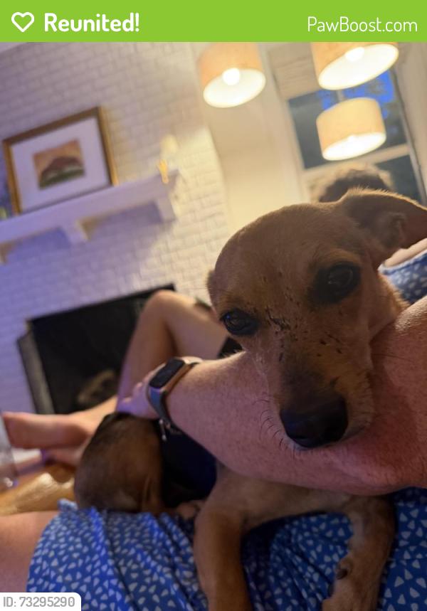 Reunited Female Dog last seen Sylvania and Little Page, Fredericksburg, VA 22401