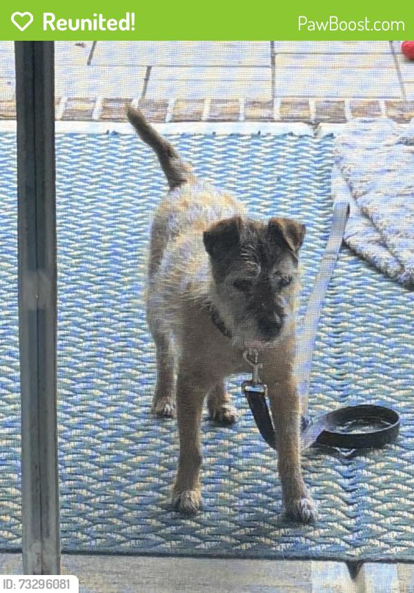 Reunited Male Dog last seen Shiloh church and Adair Hoa, Cabarrus County, NC 28036