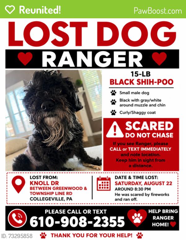Reunited Male Dog last seen Greenwood Ave and twp Line Rd, Collegeville, PA 19426
