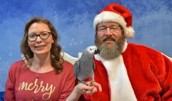 Lost Male Bird last seen Not sure, Benicia, CA 94569