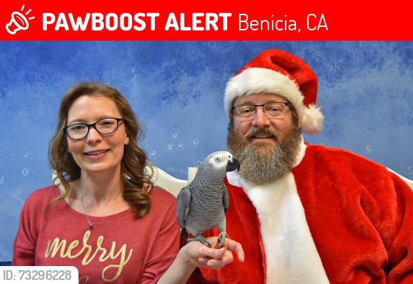 Lost Male Bird last seen Not sure, Benicia, CA 94569