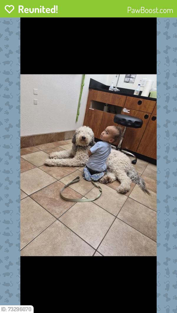 Reunited Male Dog last seen The Settlement, Plainfield, IN 46168
