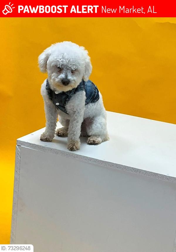 Lost Male Dog last seen Mill valley way, New Market, AL 35761