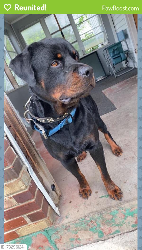 Reunited Male Dog last seen crown hill, Indianapolis, IN 46208