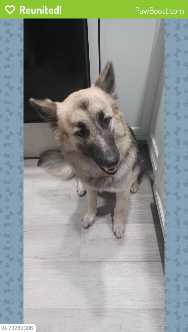 Reunited Female Dog last seen Berryhill circle, Fruitland Park, FL 34731