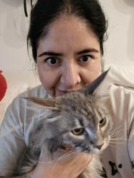 Reunited Female Cat last seen Sycamore/ Los Angeles ave., Simi Valley, CA 93065