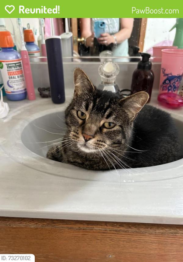 Reunited Male Cat last seen Near and 94, Kenosha, WI 53142