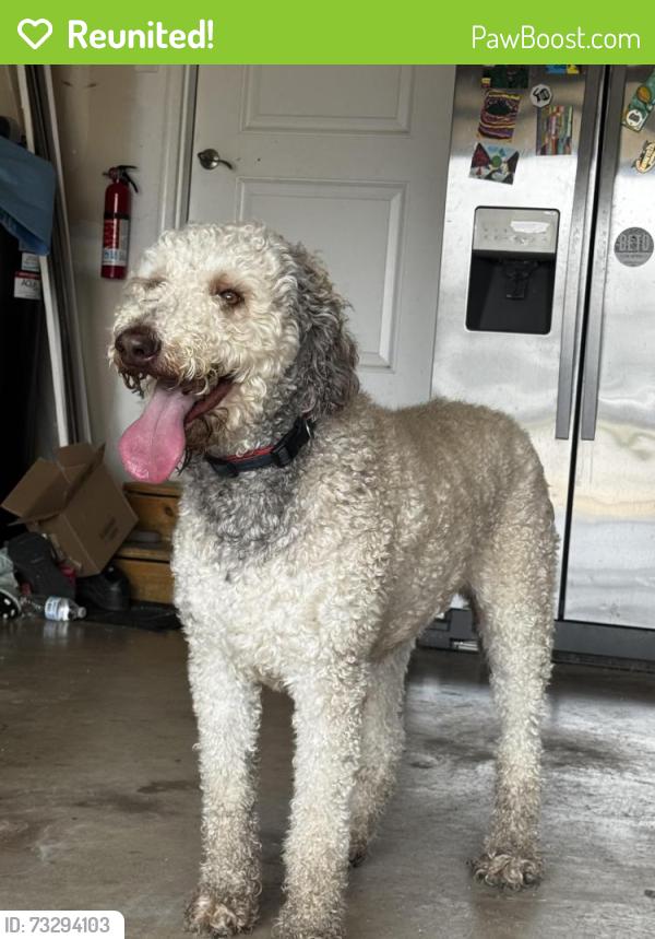 Reunited Male Dog last seen Bradford Rd and Devonshire Ave / Foxglove Dr, Avon, IN 46123