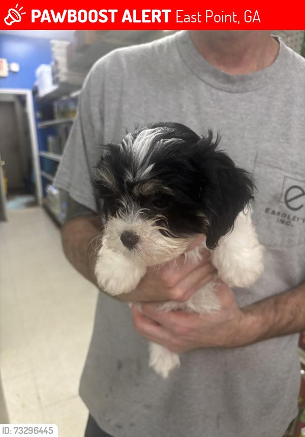 Lost Female Dog last seen Near, East Point, GA 30344