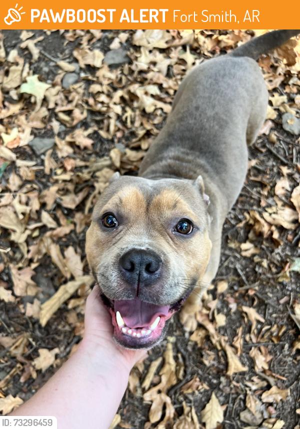 Found/Stray Male Dog last seen Near Hardscrabble Country Club, Fort Smith, AR 72903