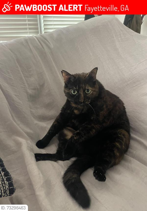 Lost Female Cat last seen Near Apple Blossom Ln, Fayetteville, GA 30215