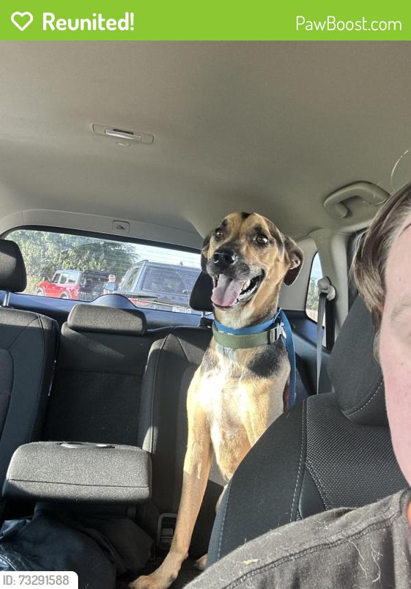 Reunited Male Dog last seen Near dartmoor ln, Raeford nc 28376, Raeford, NC 28376
