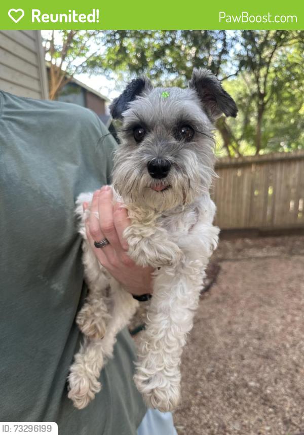 Reunited Female Dog last seen Oak Trace and Henderson Pass, San Antonio, TX 78232