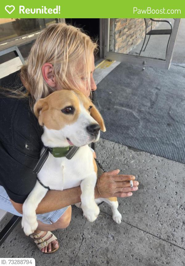 Reunited Male Dog last seen Lake Ave, Rochester, NY 14612