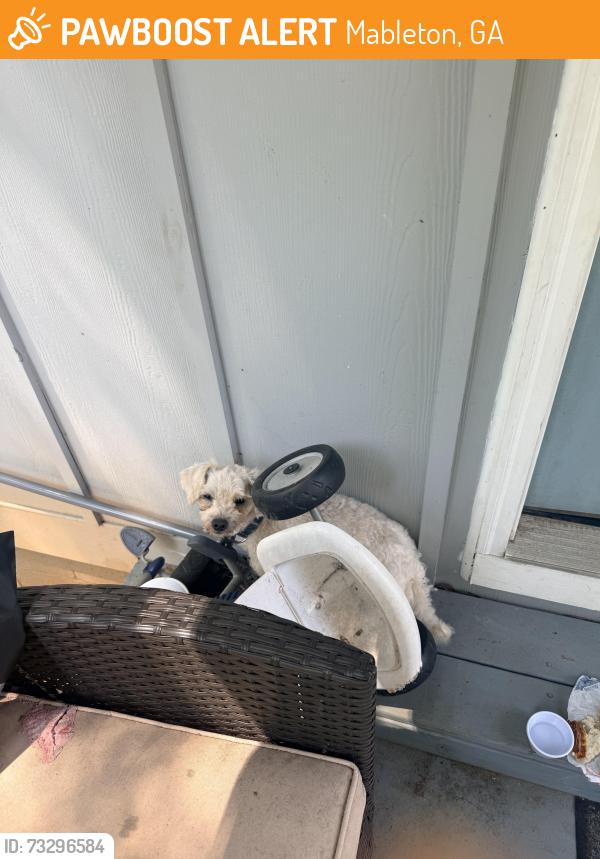 Found/Stray Unknown Dog last seen Mable st., Mableton, GA 30126